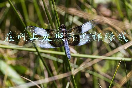 网上处理照片(在线抠图、视频剪辑、PDF编辑，收藏这3个网站就够了)