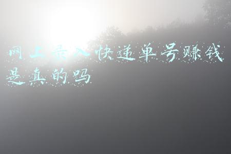 单号录入程序(药品GSP全套模板/计算机系统/操作规程/)