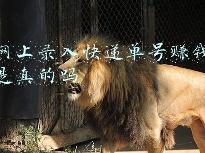 网上录入快递单号赚钱是真的吗