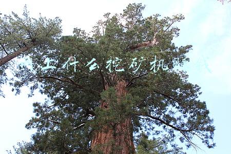 网上什么挖矿机赚钱