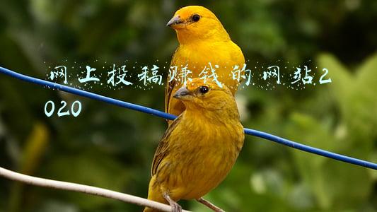 网上投稿赚钱的网站2020