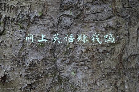 网上英语词典(最专业最好用的英语在线词典非Webster莫属)