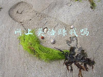 网上英语赚钱吗