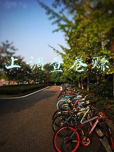 网上调查卷赚钱