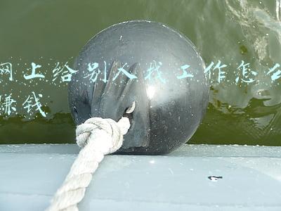 怎么样通过网上找人打工(十个靠谱的人才招聘网站，快速找到好工作只需1天)