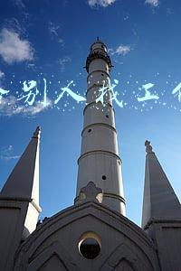 怎样从网上找工作(怎么在网上找工作？都有哪些渠道？网上找工作的步骤是什么？)