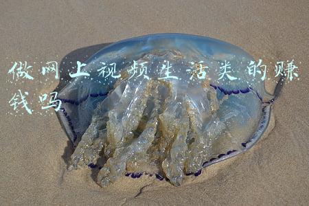 网上订餐系统类图(两大维度分析！带你探究——订餐系统背后的秘密)