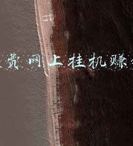 手机号码网上选号免费(手机“靓号”捆绑套餐销售形成灰色利益链)