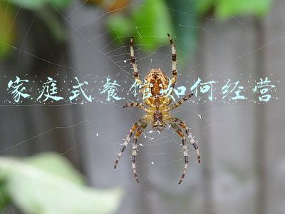 如何开家庭式的餐馆（开个家庭餐馆要具备什么）