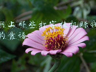 网上挂机赚钱是真的(骗局：足不出户就能日赚上千？“网络赚钱”是这样骗人的)