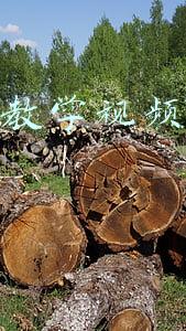 cad网上教学视频(这三个不收费的CAD自学网站，教你三天上手软件，七天掌握技术)