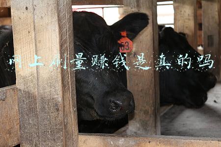 网易云刷播放量赚钱(允许白嫖，请用户免费听歌，腾讯、网易云音乐还怎么赚钱)