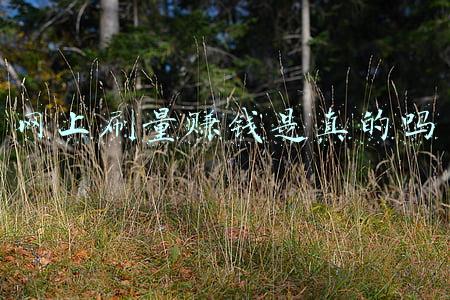 网上刷量赚钱是真的吗