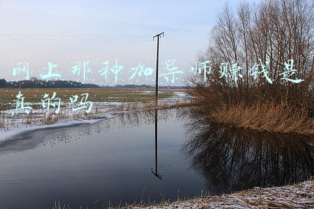 导师点评网(微信上看自家孩子期末评价，每科老师都对孩子提出了贴心建议)