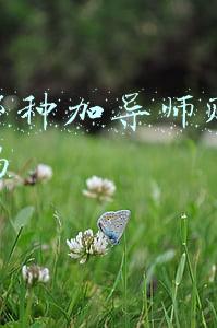 网上那种加导师赚钱是真的吗