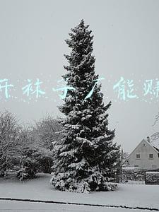 袜子批发网(袜子批发，需要的联系我18888667207)