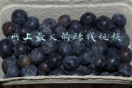 网上最火的赚钱视频