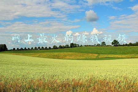 网上最火的游戏(让人欲罢不能的硬核游戏！人气高难度游戏TOP10评选)