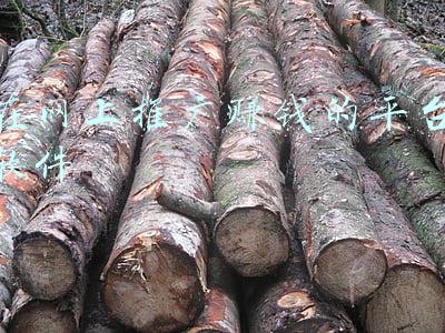 靠推广赚钱的软件(腾讯免费打卡机推广项目是什么？怎么赚钱的？西安招财猪为你解答)