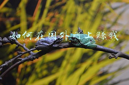 如何在国外网上赚钱