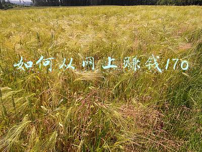 17o(身高170小身板的魅力，孤单让他喜欢户外品牌，梁朝伟的隐世时尚)
