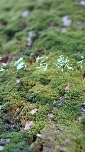 网上怎么写歌词赚钱