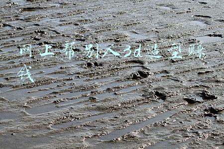 网上帮别人3d造型赚钱