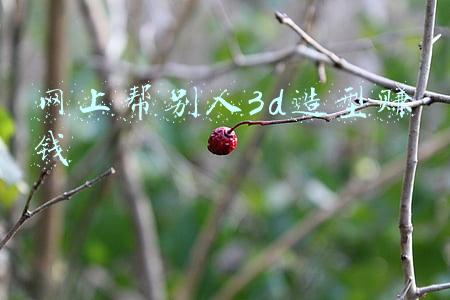 网上帮别人3d造型赚钱