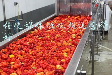 传统媒体短视频运营得好