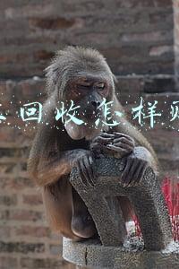 网上回收怎样赚钱