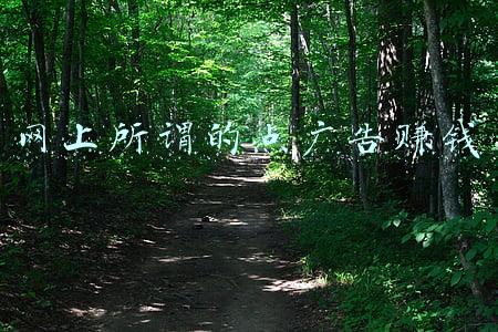 网上所谓的点广告赚钱 网上所谓的点广告赚钱
