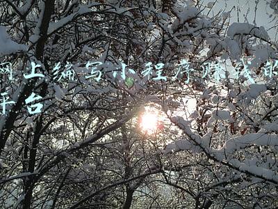 怎么编写小程序(怎么开发自己的微信小程序？)