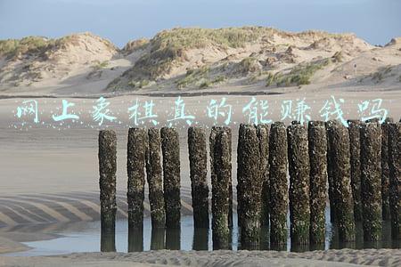 网上象棋真的能赚钱吗