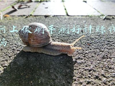 网上做刷手刷好评赚钱吗