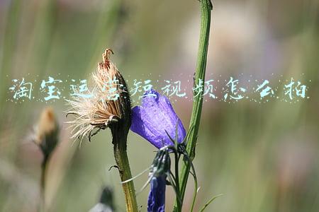 淘宝视频怎么拍摄(淘宝产品拍摄具体步骤总结，新手店主不要错过哟)
