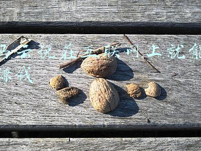 马云说以后赚钱的行业(马云看好的三大行业，正成为赚钱的“新风口”，有人已经年入上亿)