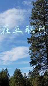 马云说过最洗脑10名言(马云洗脑最厉害的10句名言，你知道几句？)