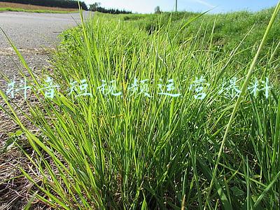 抖音代运营短视频(抖音代运营靠谱吗？)