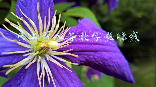网上答题怎么赚钱(关于答题赚金币，一天至少10w+金币)