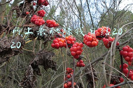网上兼职赚钱日结可靠吗(年轻人还是要远离日结工作)
