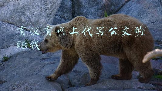 代写公文材料(代写“讲写材料的材料”，这个形式主义有点上头)