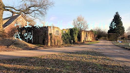 包装材料采购网(进博会汇集天下企业好产品)