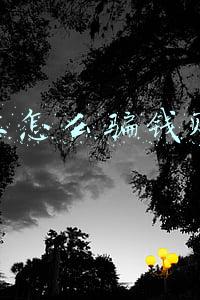 网上咋骗钱可以追回来(网上被骗，报警后钱款还能追回吗？)
