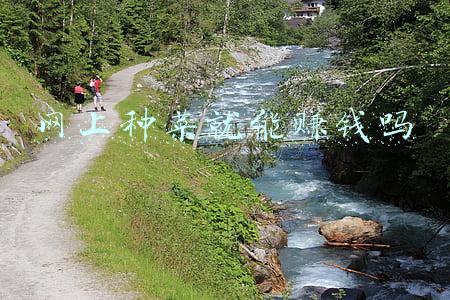 阳台种菜网(2平米的阳台，也能种20种菜，一年都够吃了！)