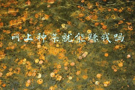 网上种菜(网上种菜 半月后收真菜 贵州一农场“神了”)