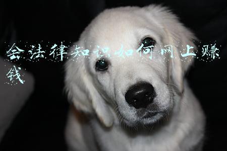 干部应知应会法律知识(【每日一练】（218）政法队伍教育整顿应知应会)