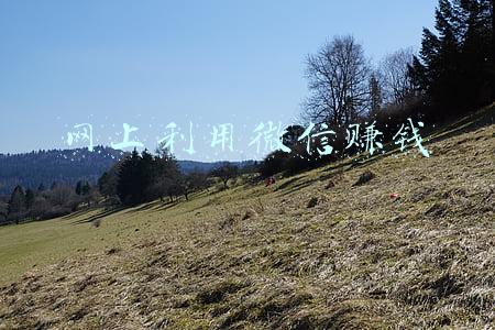 微信免费赚钱(微信4大“收费”功能，最高每年300元，你还会接着使用吗？)
