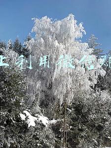 网上所谓的微信赚钱(出租微信就能赚钱？真有这样不劳而获又稳赚不赔的好事吗？)