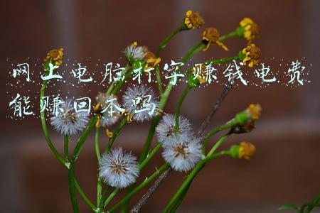 怎样在网上交电费(如何使用支付宝进行网上交电费，不用出门，轻松搞定)