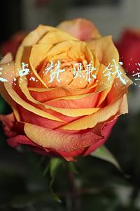网上刷赞赚钱违法吗(警惕：只需点赞就能挣钱？当心变异“刷单”陷阱！【网警转发】)